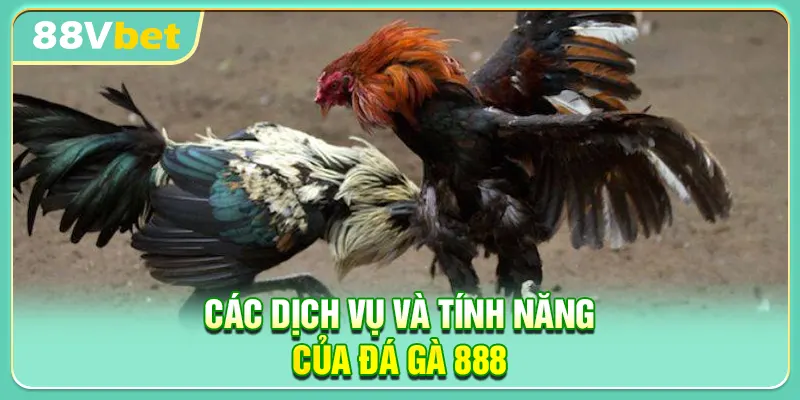 Các dịch vụ và tính năng của Đá Gà 888